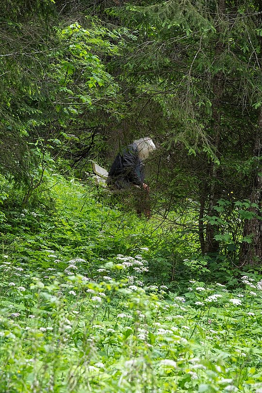 Person sitzt versteckt zwischen dichtem Grün im Wald.