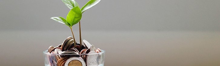 Glas mit Geld, aus dem Pflanze wächst